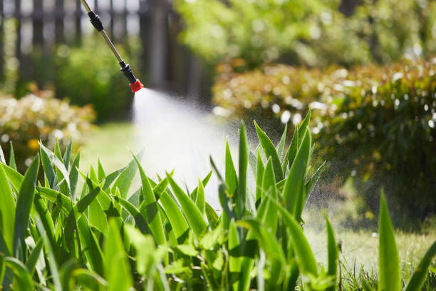 24/7 Emergency Termite Control experts in Jennings Lodge, OR