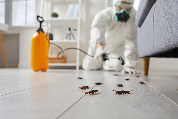 Trusted Termite Control service in Jennings Lodge, OR - Nex Pest Control